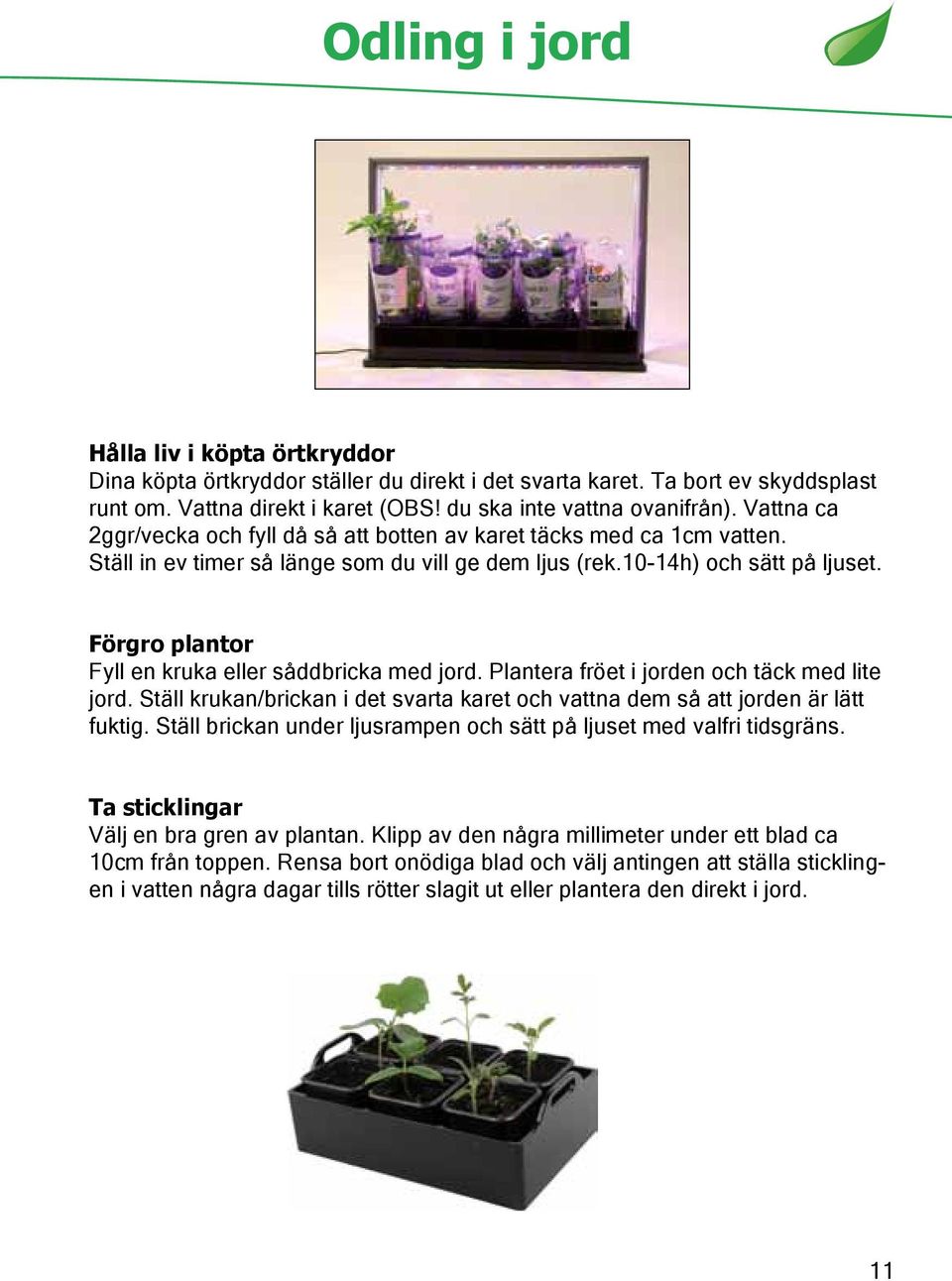 Förgro plantor Fyll en kruka eller såddbricka med jord. Plantera fröet i jorden och täck med lite jord. Ställ krukan/brickan i det svarta karet och vattna dem så att jorden är lätt fuktig.