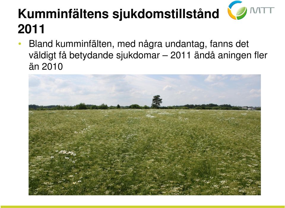 undantag, fanns det väldigt få