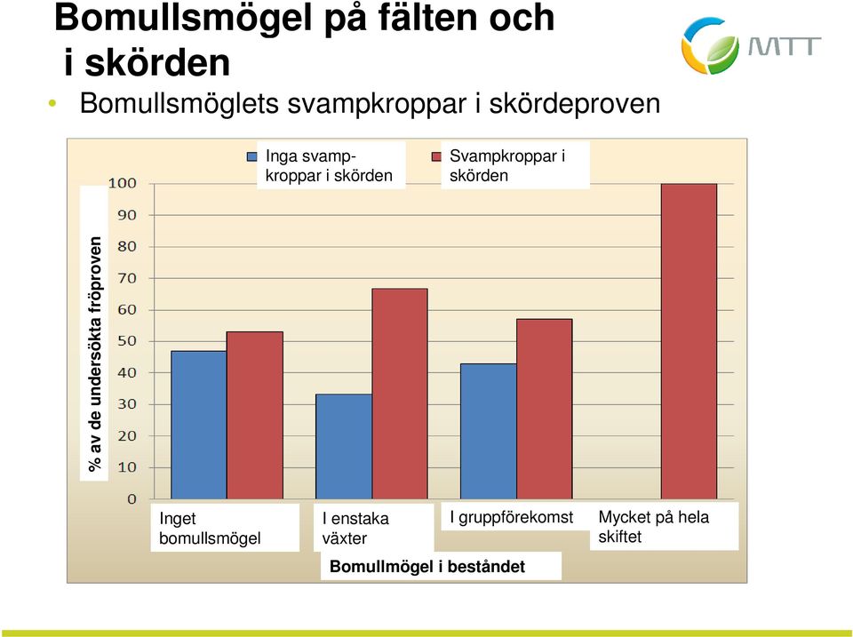 skörden % av de undersökta fröproven Inget bomullsmögel I