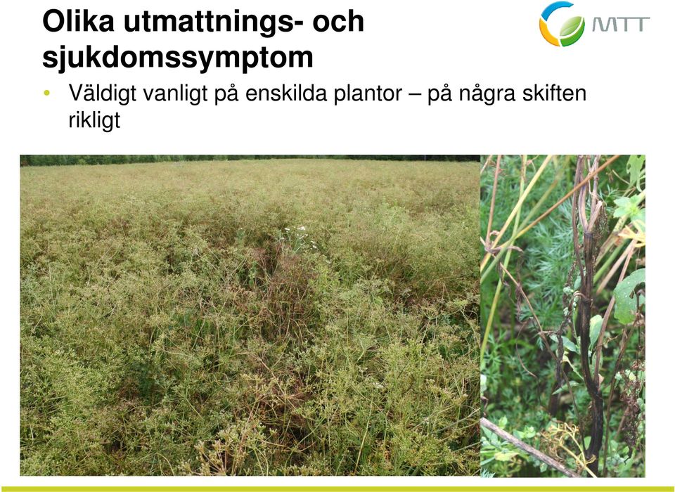 vanligt på enskilda