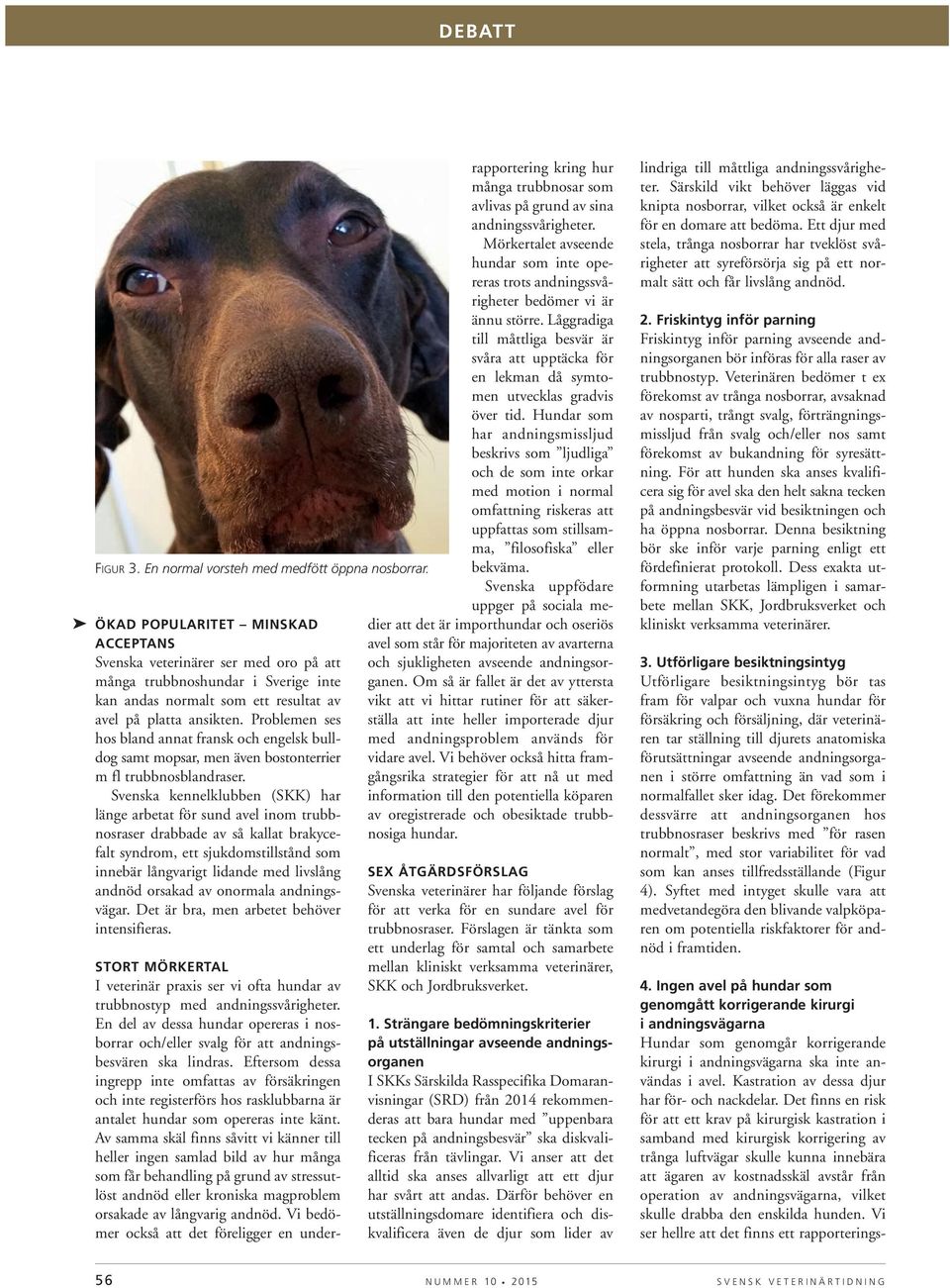 Problemen ses hos bland annat fransk och engelsk bulldog samt mopsar, men även bostonterrier m fl trubbnosblandraser.