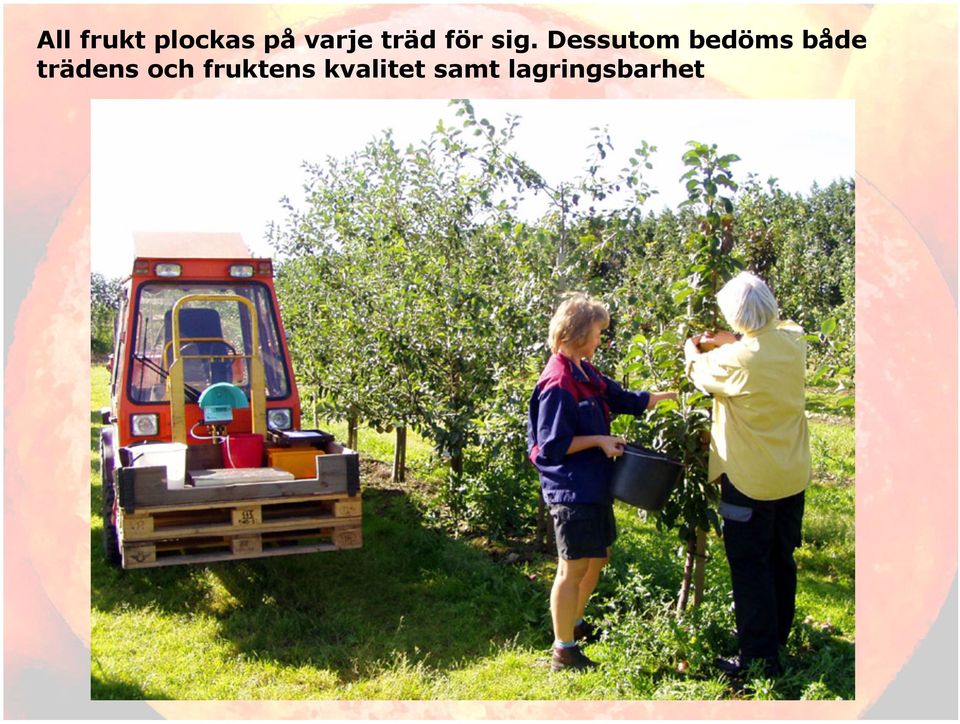 Dessutom bedöms både