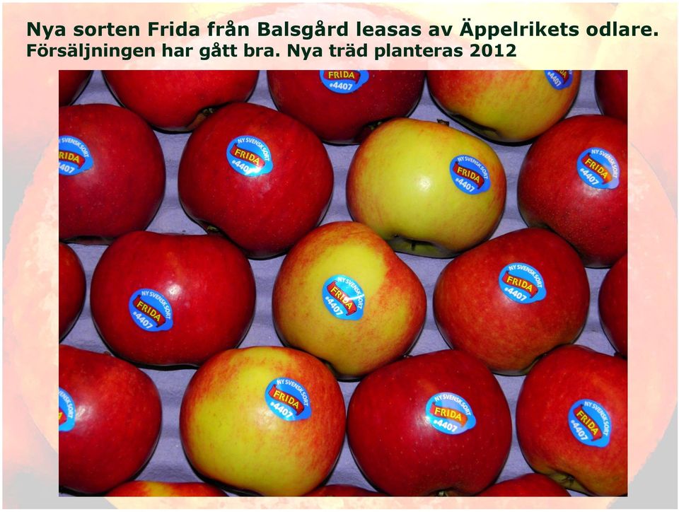 Äppelrikets odlare.