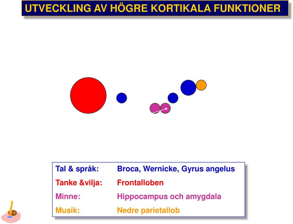 Tanke &vilja: Minne: Musik: Broca, Wernicke, Gyrus