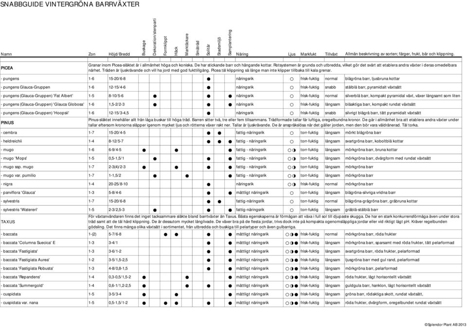 1,5-2/2-3 näringsrik frisk-fuktig långsam blåaktiga barr, kompakt rundat växtsätt - pungens (Glauca-Gruppen) 'Hoopsii' 1-6 12-15/3-4,5 näringsrik frisk-fuktig snabb silvrigt blågrå barr, tätt