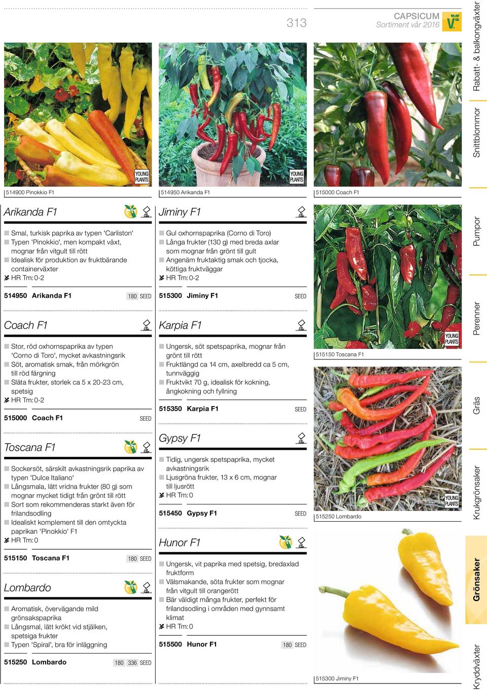 20-23 cm, spetsig HR Tm: 0-2 515000 Coach F1 Toscana F1 Sockersöt, särskilt avkastningsrik paprika av typen 'Dulce Italiano' Långsmala, lätt vridna frukter (80 g) som mognar mycket tidigt från grönt