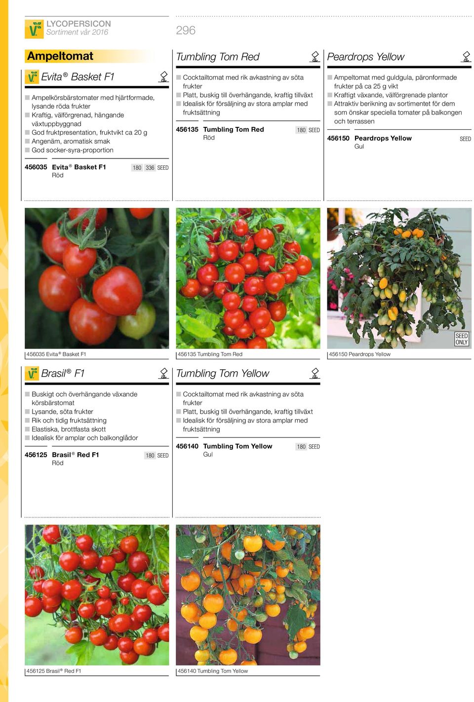 amplar med fruktsättning 456135 Tumbling Tom Red Röd 180 Peardrops Yellow Ampeltomat med guldgula, päronformade frukter på ca 25 g vikt Kraftigt växande, välförgrenade plantor Attraktiv berikning av
