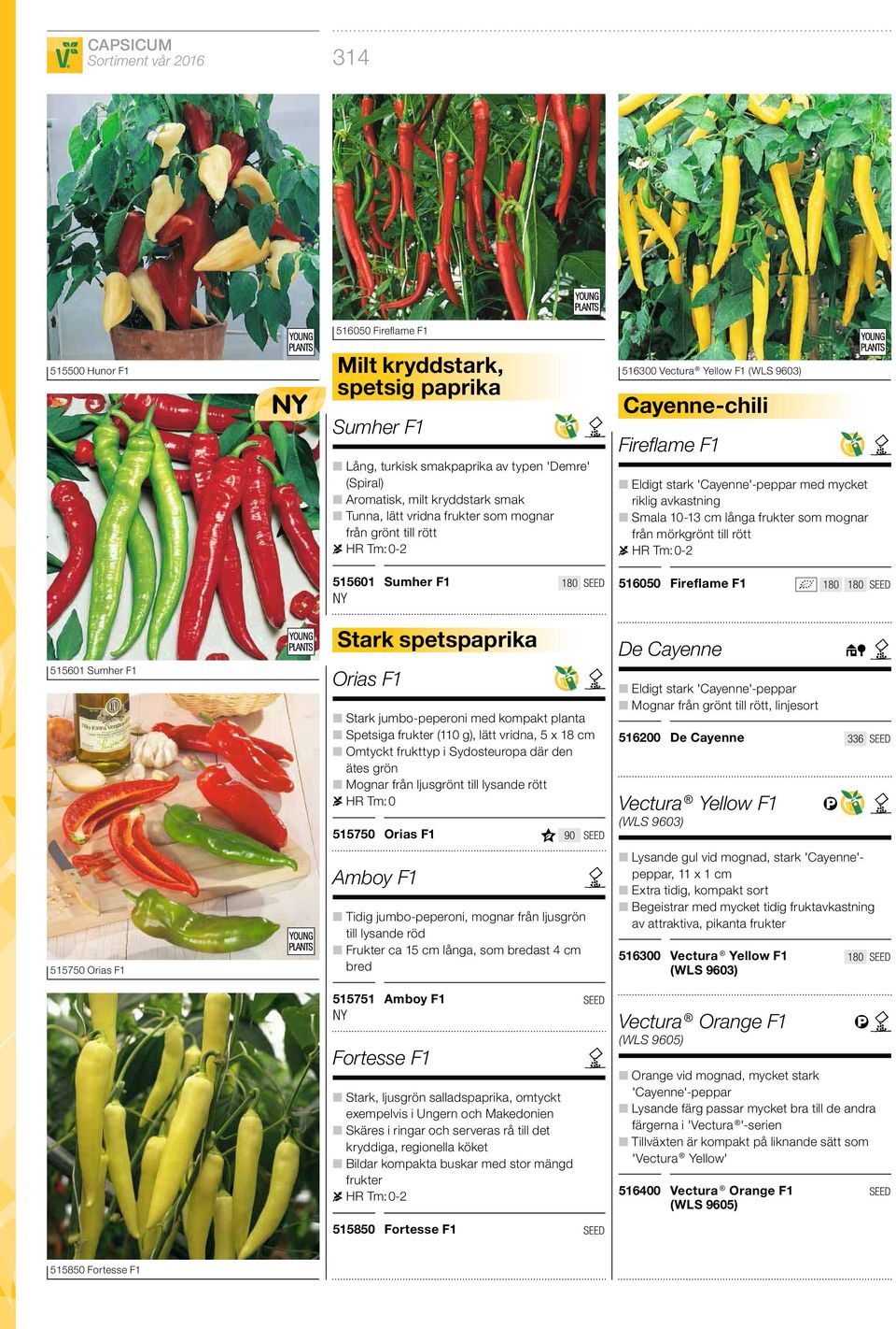 frukter som mognar från mörkgrönt till rött HR Tm: 0-2 515601 Sumher F1 180 516050 Fireflame F1 180 180 515601 Sumher F1 515750 Orias F1 Stark spetspaprika Orias F1 Stark jumbo-peperoni med kompakt