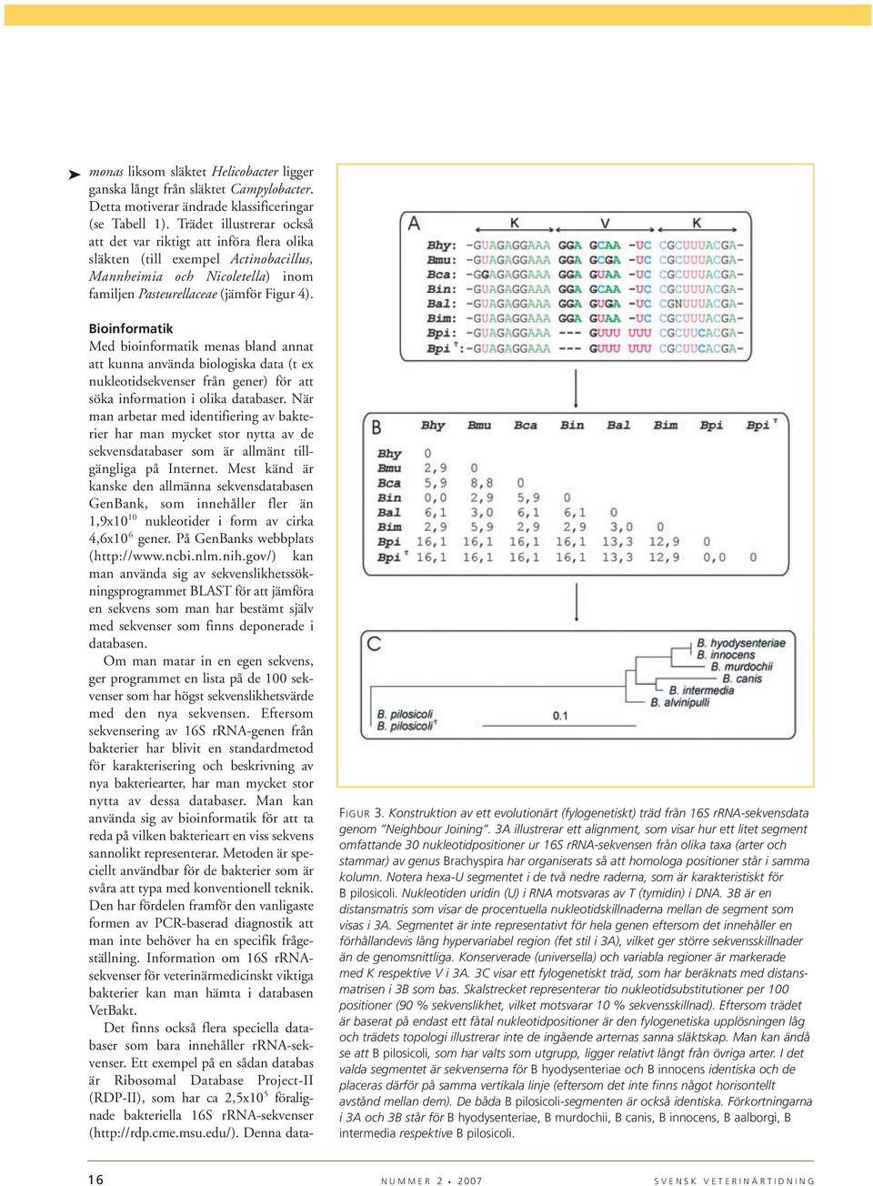 Bioinformatik Med bioinformatik menas bland annat att kunna använda biologiska data (t ex nukleotidsekvenser från gener) för att söka information i olika databaser.