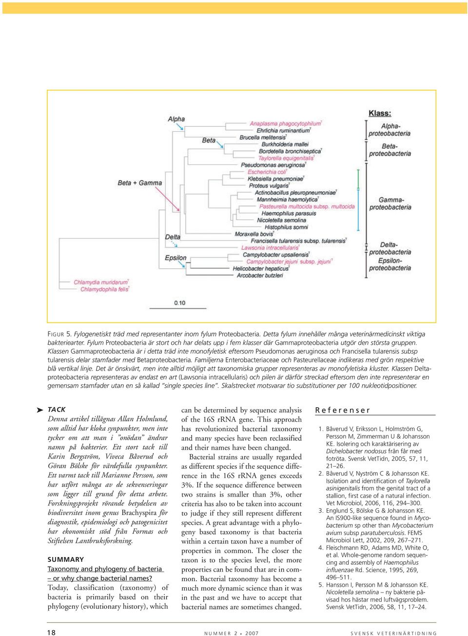 Klassen Gammaproteobacteria är i detta träd inte monofyletisk eftersom Pseudomonas aeruginosa och Francisella tularensis subsp tularensis delar stamfader med Betaproteobacteria.