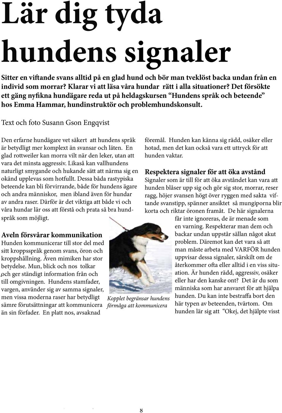 Text och foto Susann Gson Engqvist Den erfarne hundägare vet säkert att hundens språk är betydligt mer komplext än svansar och läten.