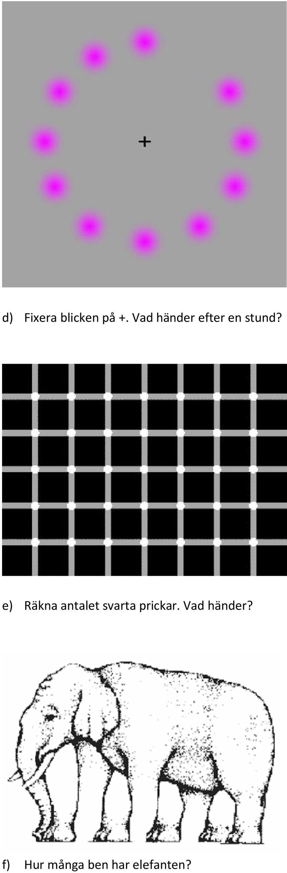 e) Räkna antalet svarta prickar.