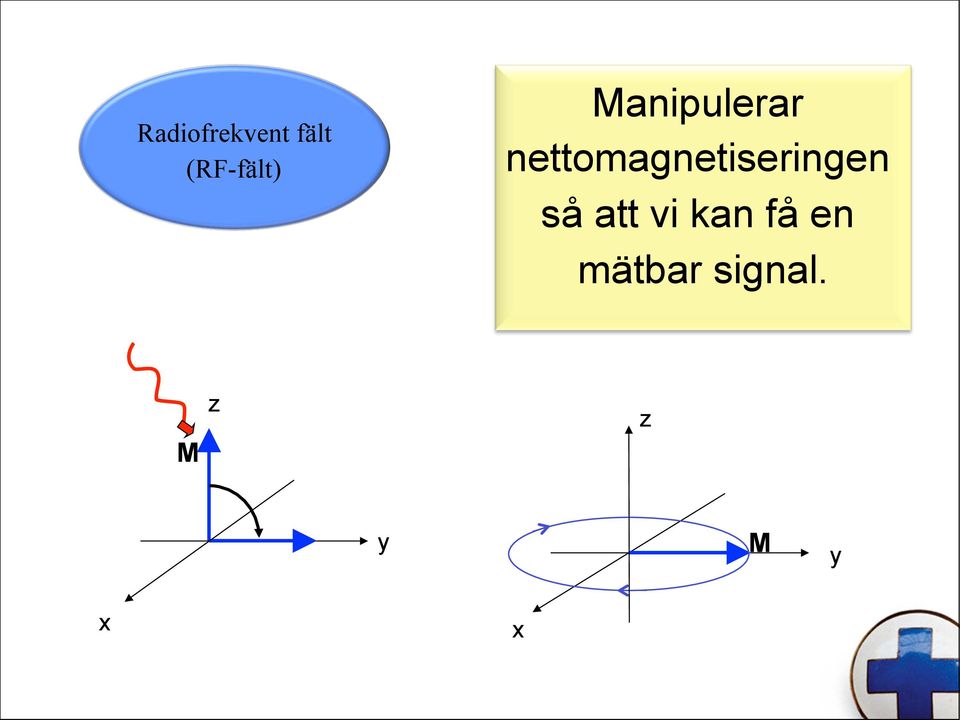 nettomagnetiseringen så att