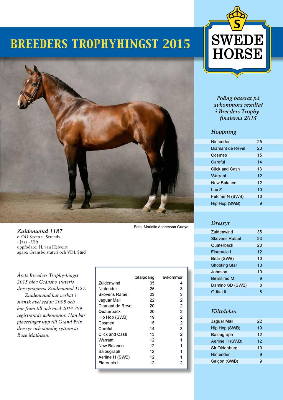 van Helvoirt ägare: Gränsbo stuteri och VDL Stud Årets Breeders Trophy-hingst 2015 blev Gränsbo stuteris dressyrstjärna Zuidenwind 1187.