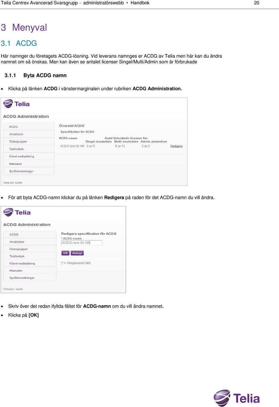 Man kan även se antalet licenser Singel/Multi/Admin som är förbrukade 3.1.