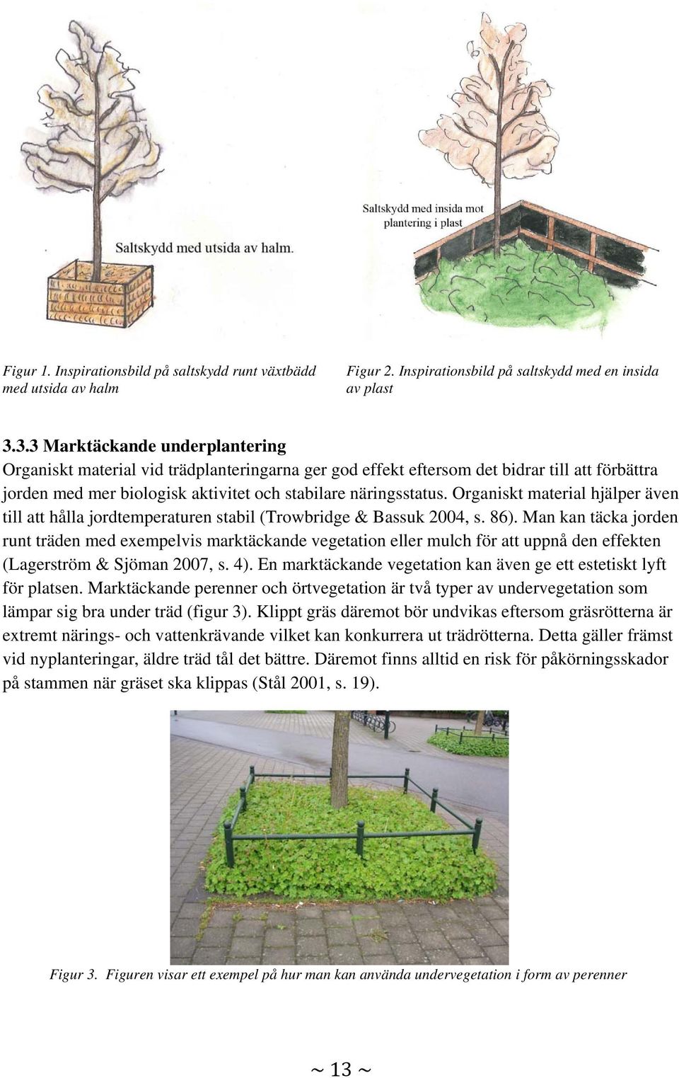 Organiskt material hjälper även till att hålla jordtemperaturen stabil (Trowbridge & Bassuk 2004, s. 86).