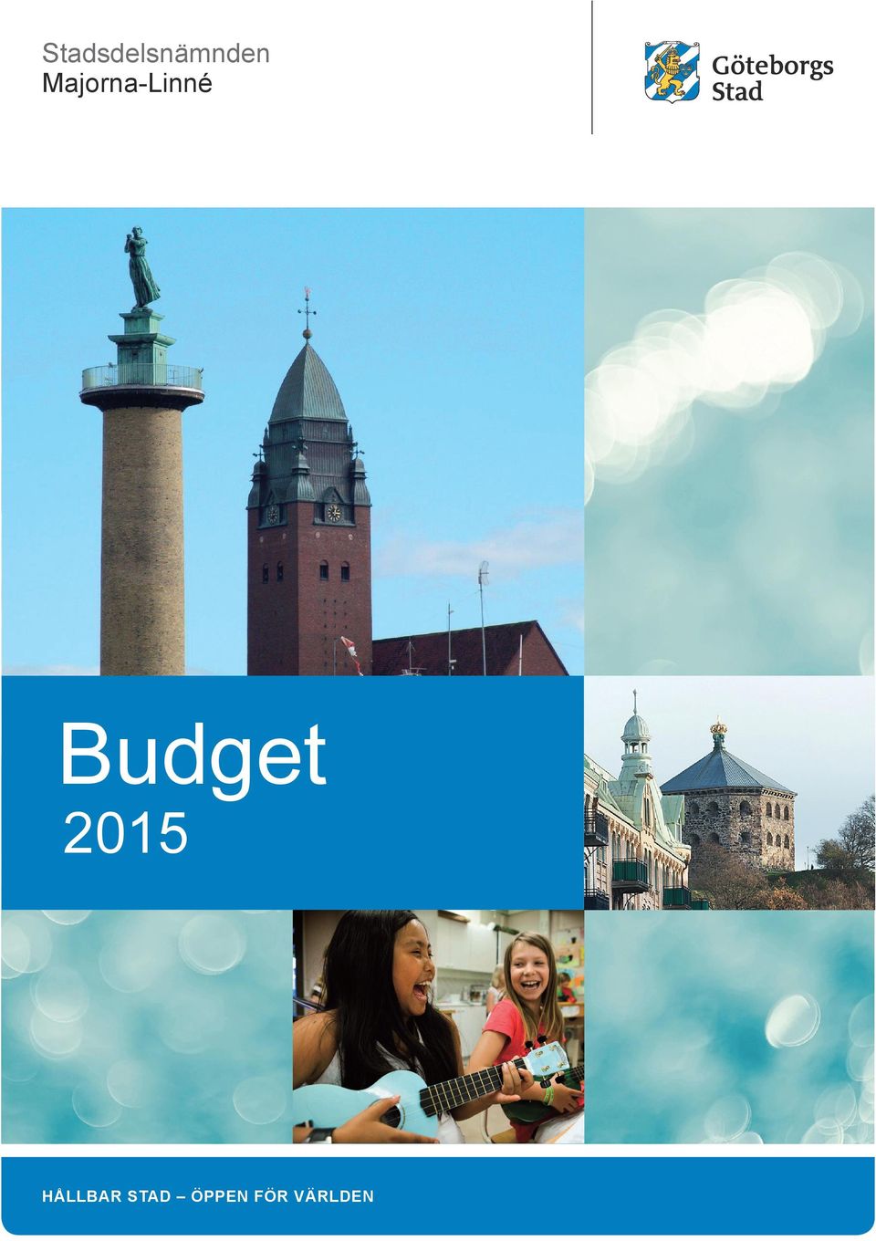 Budget 2015