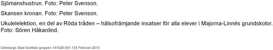 Ukulelelektion, en del av Röda tråden hälsofrämjande insatser för
