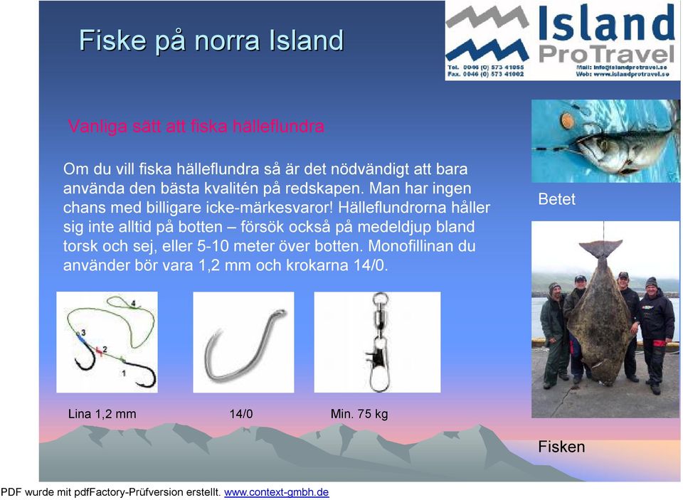 Hälleflundrorna håller sig inte alltid på botten försök också på medeldjup bland torsk och sej, eller 5-10