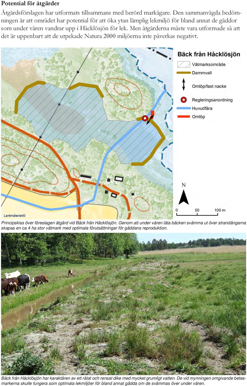 Men åtgärderna måste vara utformade så att det är uppenbart att de utpekade Natura 2000 miljöerna inte påverkas negativt. Principskiss över föreslagen åtgärd vid Bäck från Håcklösjön.