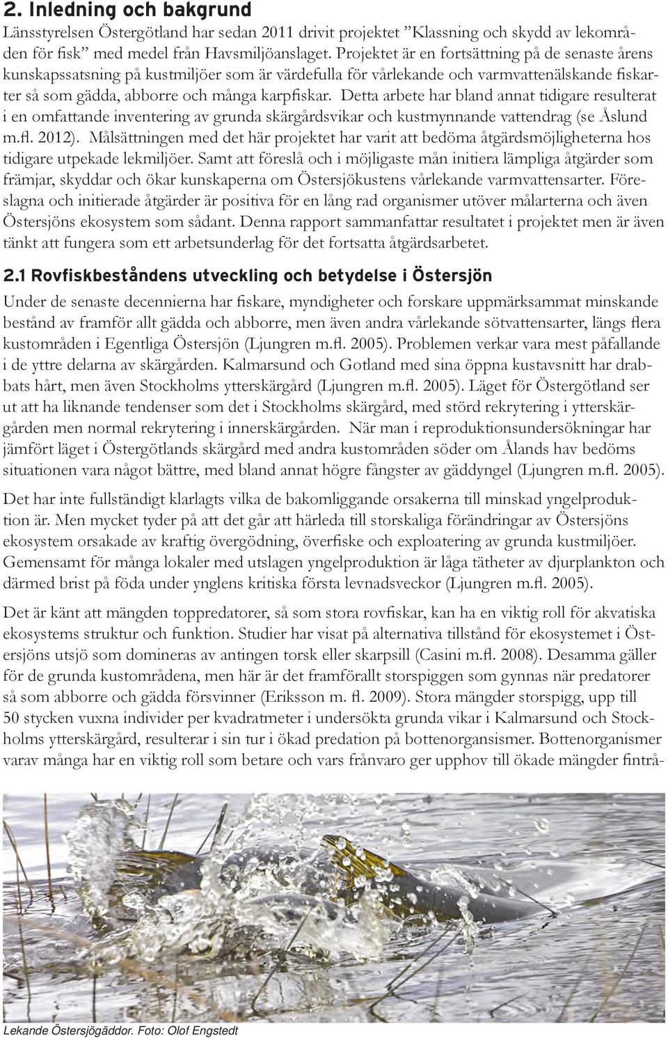 Detta arbete har bland annat tidigare resulterat i en omfattande inventering av grunda skärgårdsvikar och kustmynnande vattendrag (se Åslund m.fl. 2012).