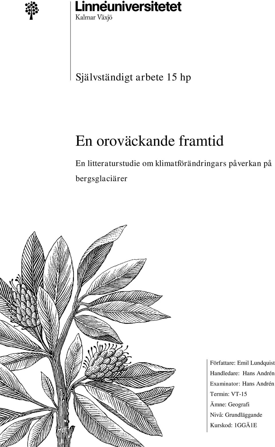 bergsglaciärer Författare: Emil Lundquist Handledare: Hans