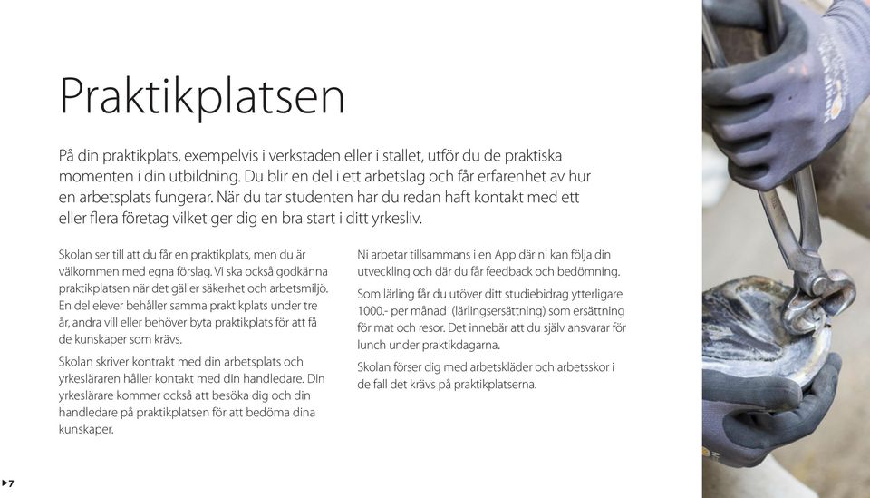 När du tar studenten har du redan haft kontakt med ett eller flera företag vilket ger dig en bra start i ditt yrkesliv.