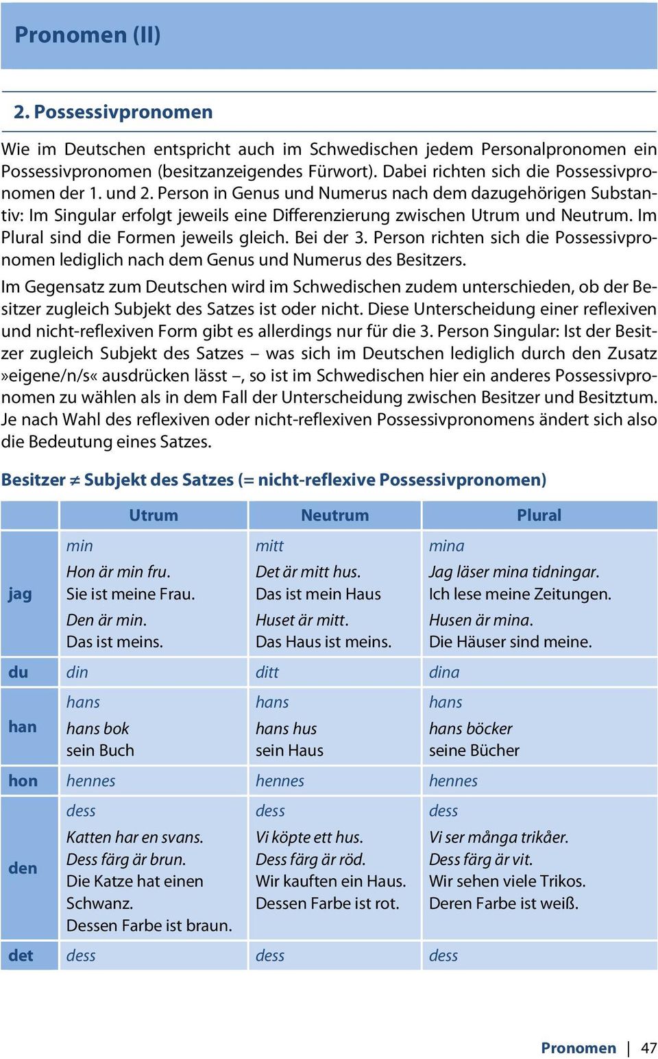 Im Plural sind die Formen jeweils gleich. Bei der 3. Person richten sich die Possessivpronomen lediglich nach dem Genus und Numerus des Besitzers.