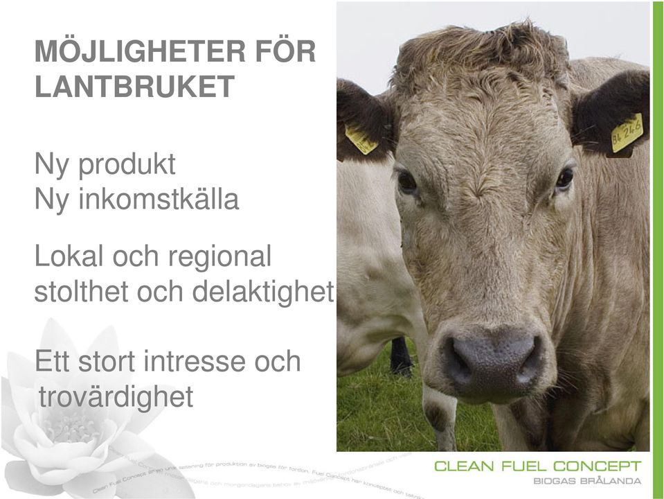 regional stolthet och delaktighet