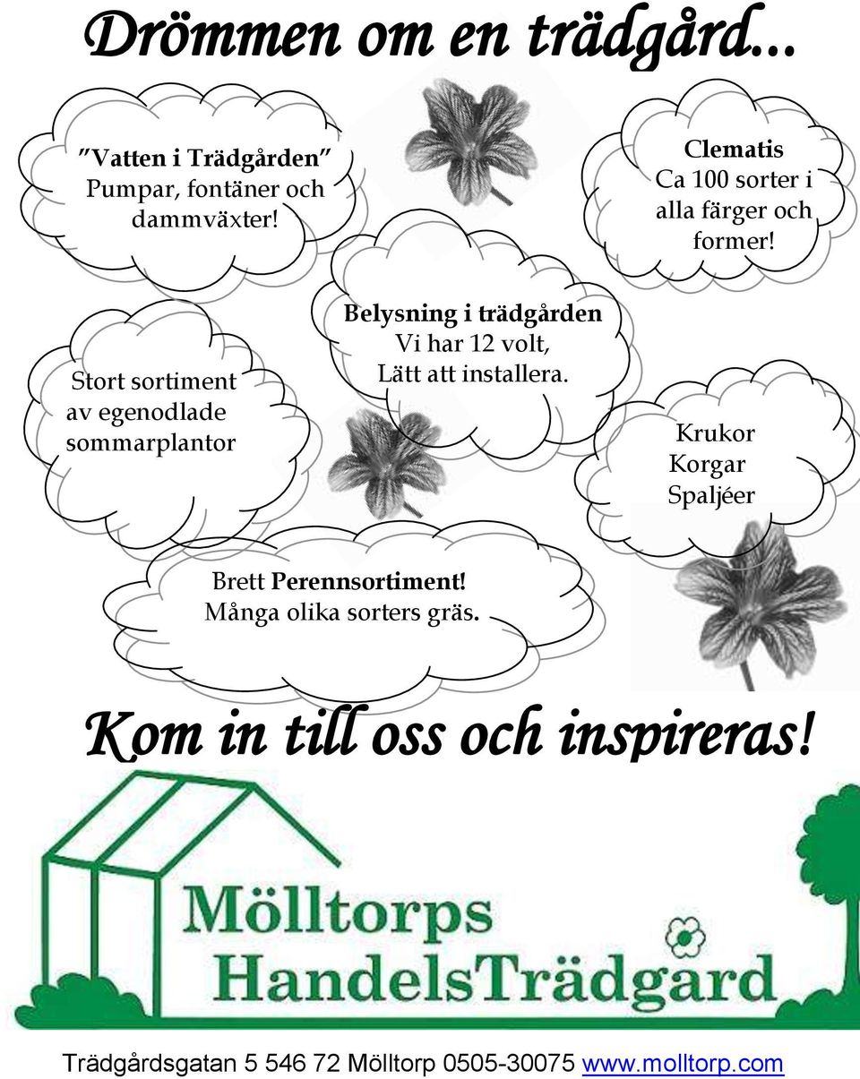 Stort sortiment av egenodlade sommarplantor Belysning i trädgården Vi har 12 volt, Lätt att