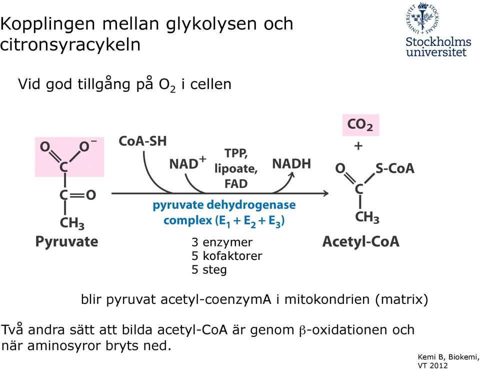 pyruvat acetyl-coenzyma i mitokondrien (matrix) Två andra sätt