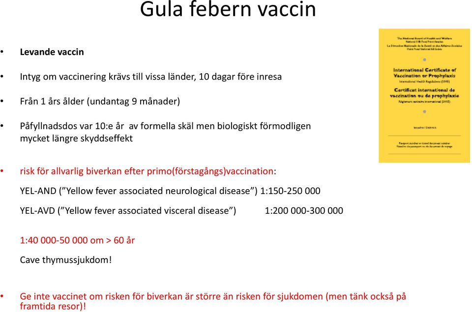 primo(förstagångs)vaccination: YEL-AND ( Yellow fever associated neurological disease ) 1:150-250 000 YEL-AVD ( Yellow fever associated visceral