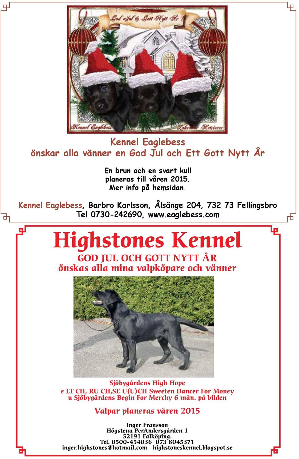 com Highstones Kennel GOD JUL OCH GOTT NYTT ÅR önskas alla mina valpköpare och vänner Sjöbygårdens High Hope e LT CH, RU CH,SE U(U)CH Sweeten Dancer For