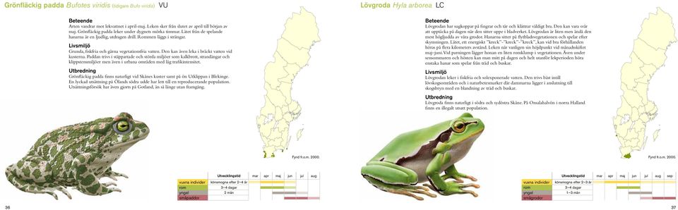 Den kan även leka i bräckt vatten vid kusterna. Paddan trivs i stäppartade och störda miljöer som kalkbrott, strandängar och klippstensmiljöer men även i urbana områden med låg trafikintensitet.