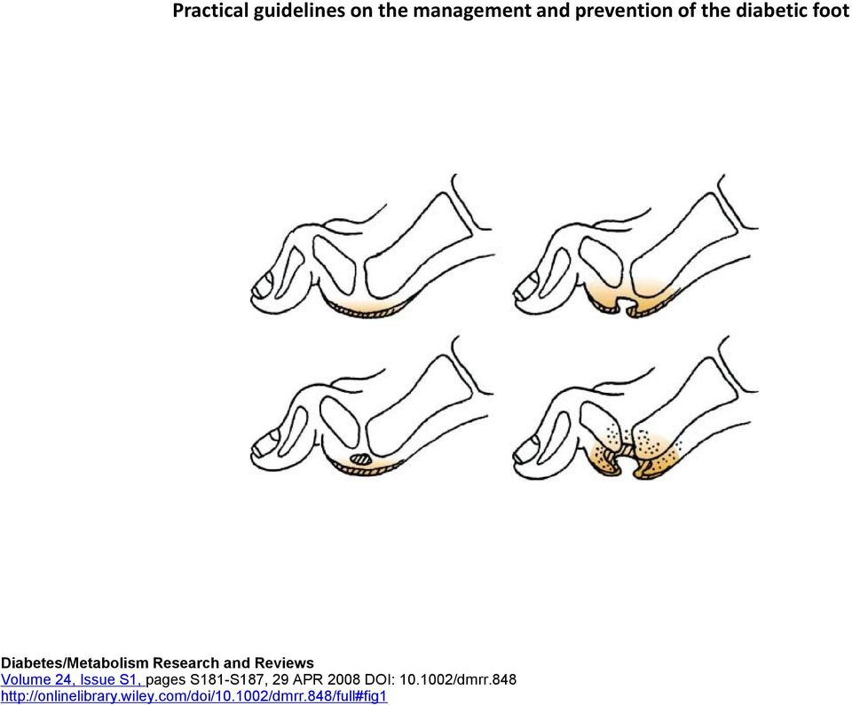 24, Issue S1, pages S181-S187, 29 APR 2008 DOI: 10.1002/dmrr.