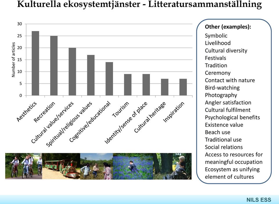 Bird-watching Photography Angler satisfaction Cultural fulfilment Psychological benefits Existence value