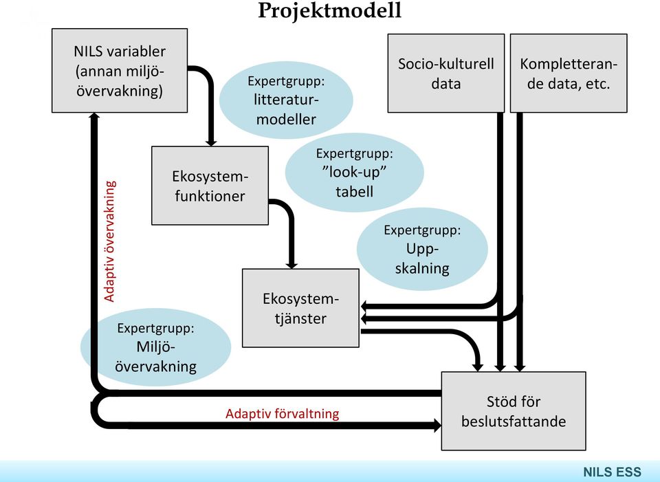 Ekosystemfunktioner Expertgrupp: look-up tabell Expertgrupp: Uppskalning