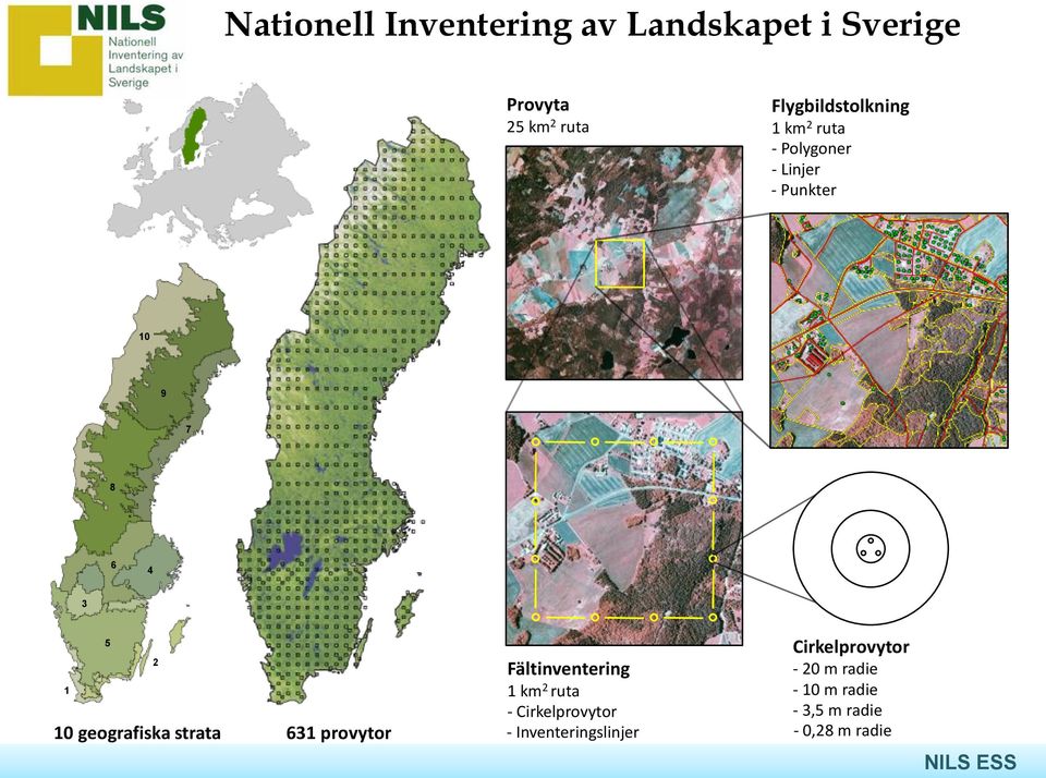 1 10 geografiska strata 631 provytor Fältinventering 1 km 2 ruta -