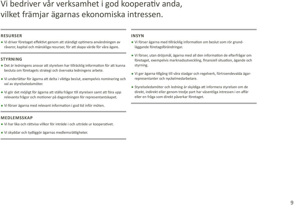 STYRNING Det är ledningens ansvar att styrelsen har tillräcklig information för att kunna besluta om företagets strategi och övervaka ledningens arbete.