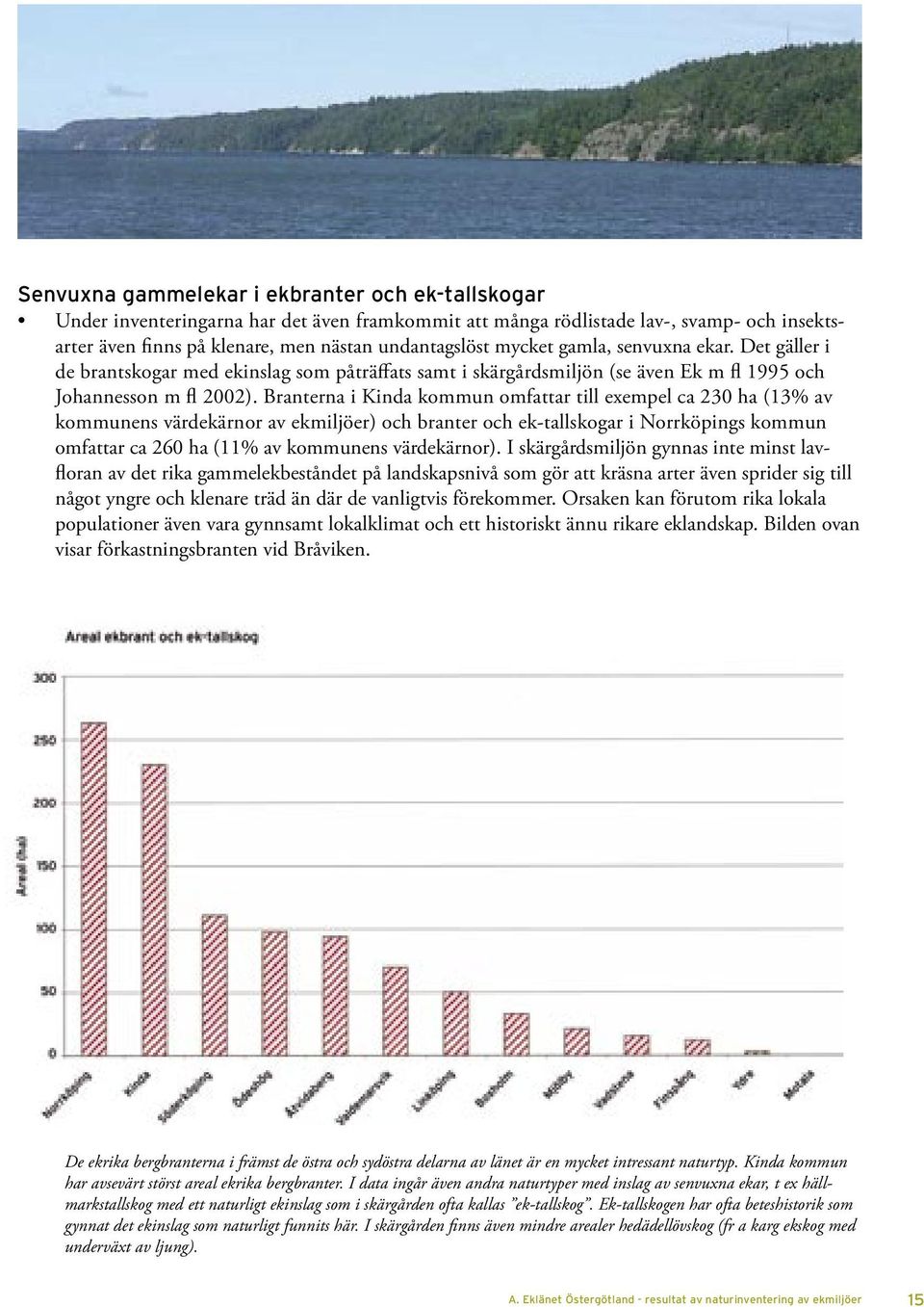 Branterna i Kinda kommun omfattar till exempel ca 230 ha (13% av kommunens värdekärnor av ekmiljöer) och branter och ek-tallskogar i Norrköpings kommun omfattar ca 260 ha (11% av kommunens