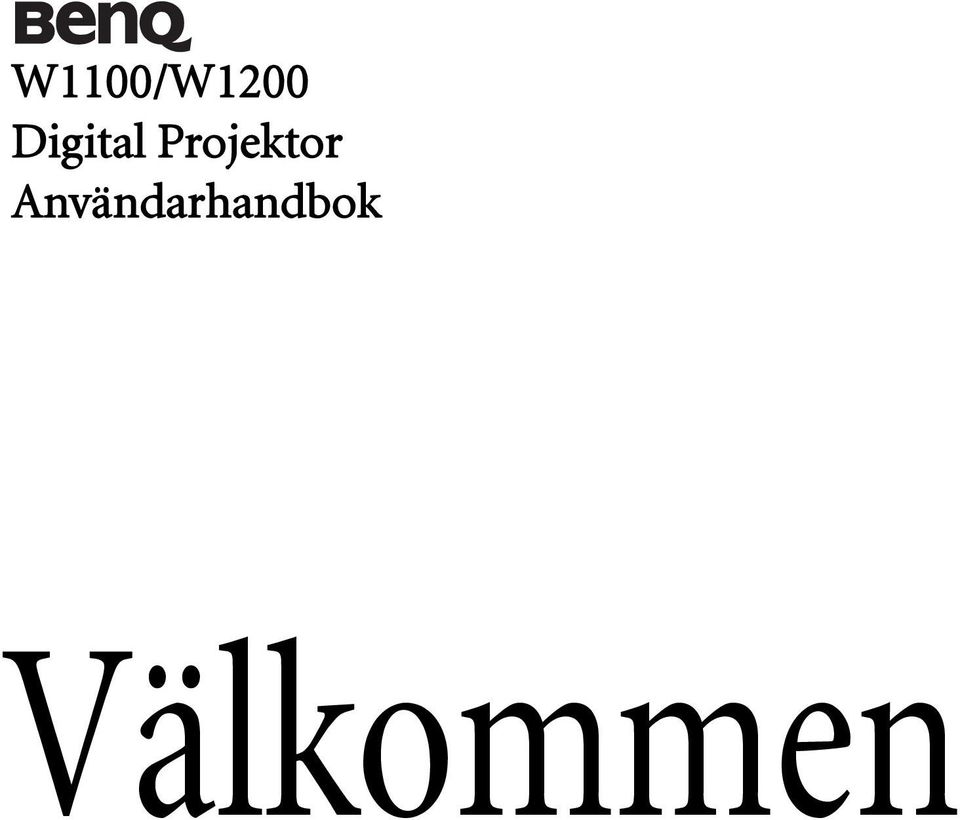 Projektor