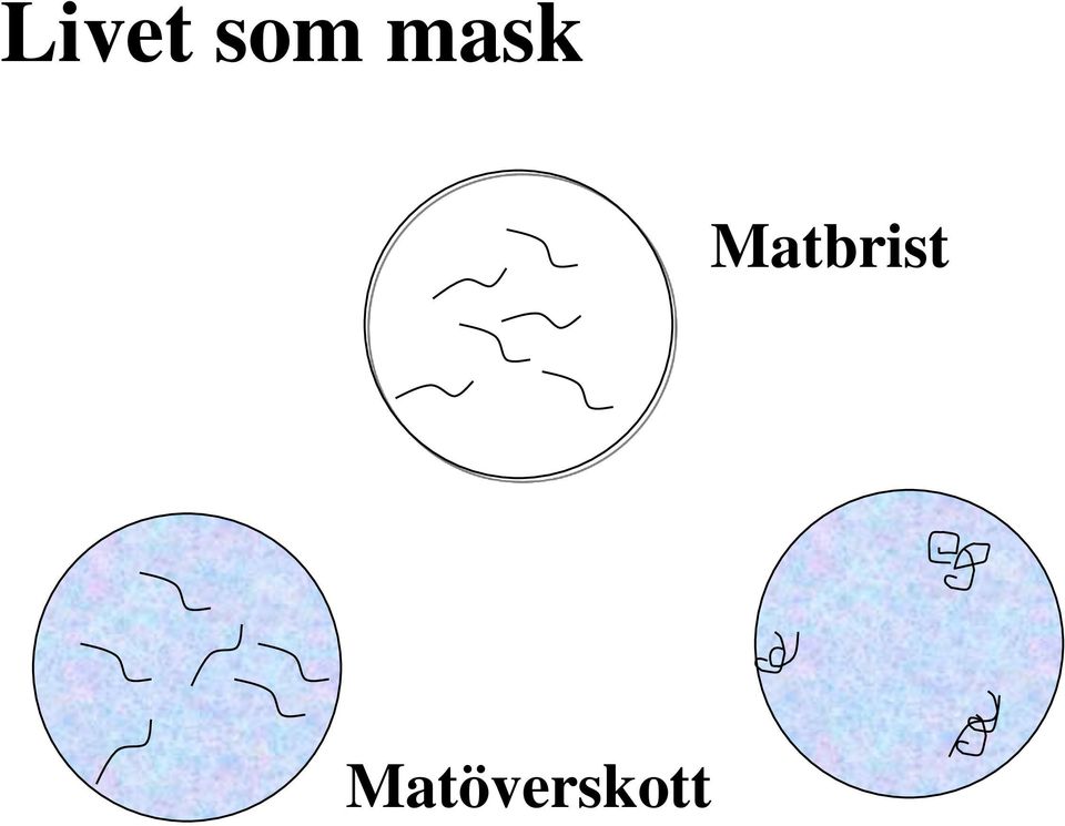 Matbrist