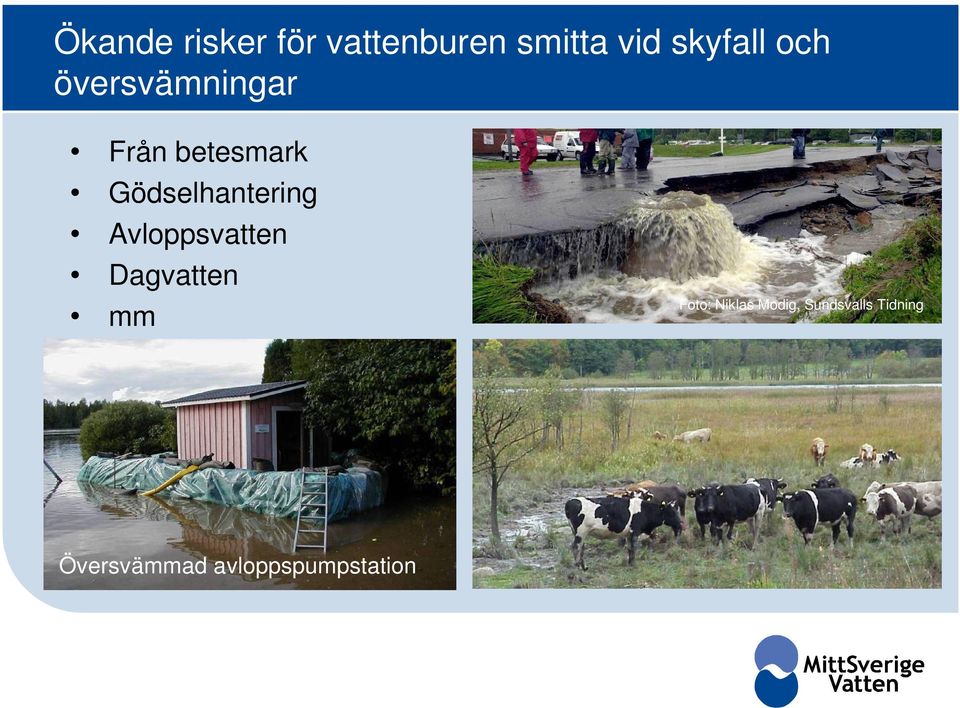 Gödselhantering Avloppsvatten Dagvatten mm Foto: