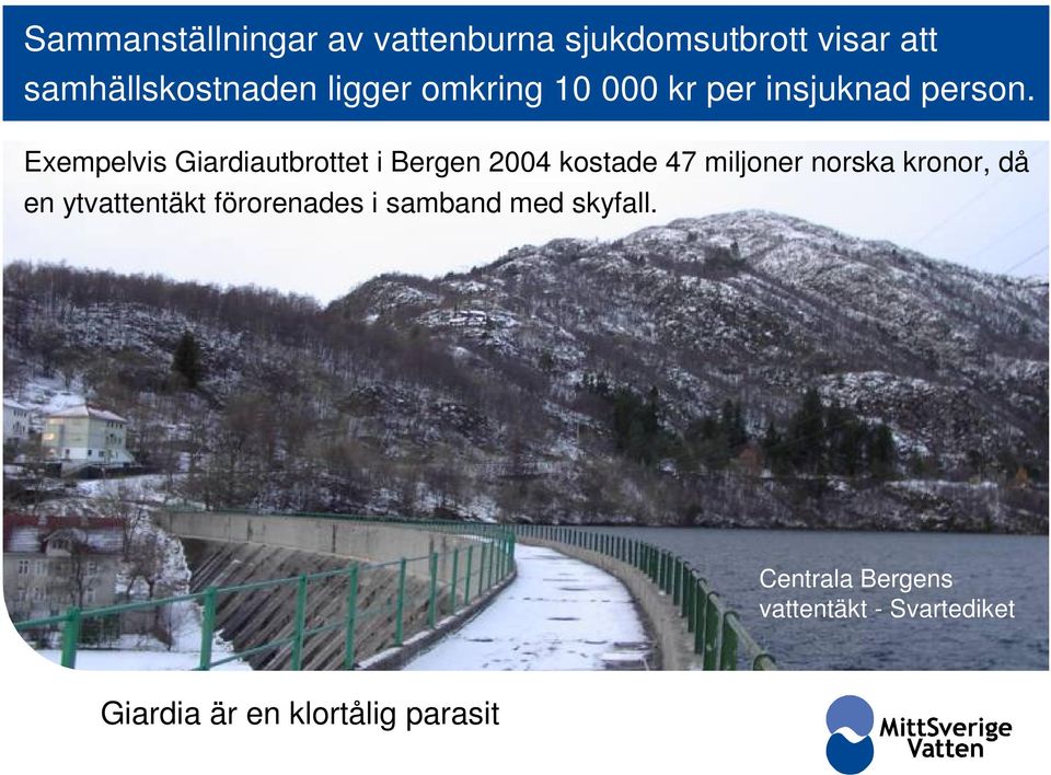 Exempelvis Giardiautbrottet i Bergen 2004 kostade 47 miljoner norska kronor, då