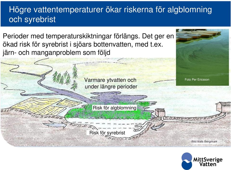 Det ger en ökad risk för syrebrist i sjöars bottenvatten, med t.ex.