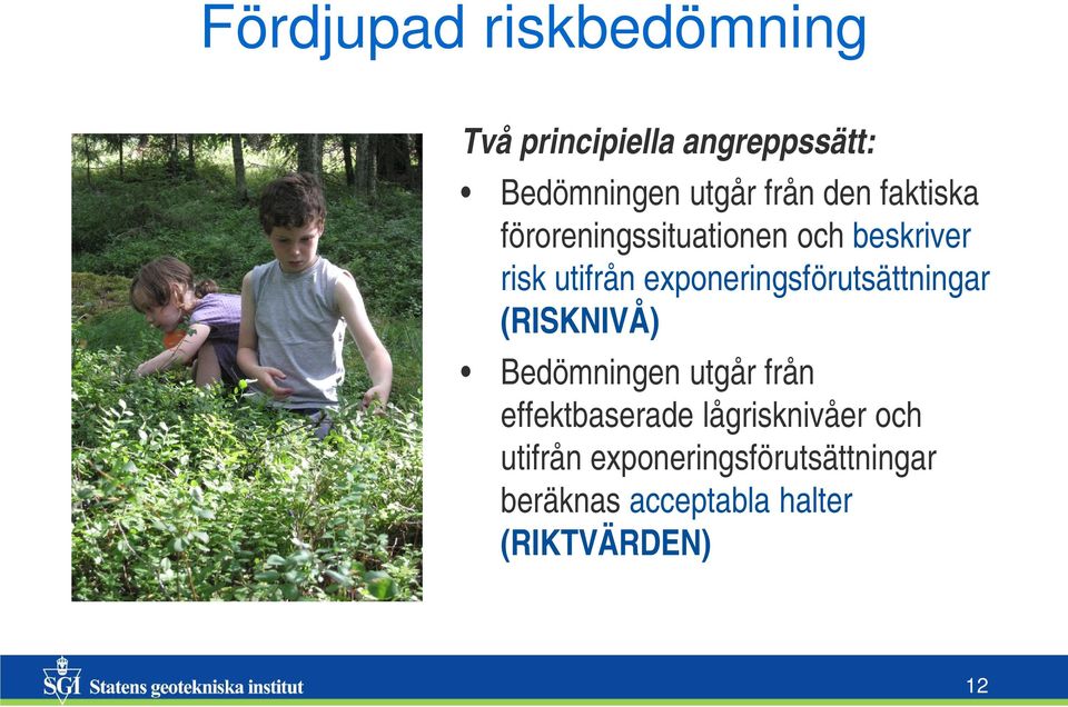 exponeringsförutsättningar (RISKNIVÅ) Bedömningen utgår från effektbaserade