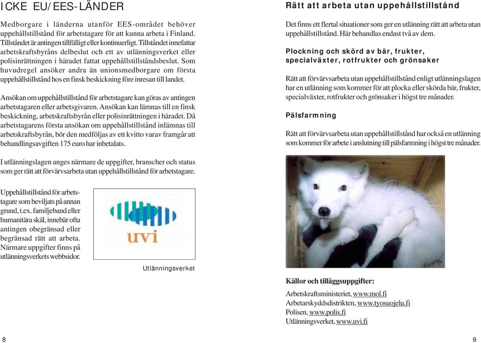 Som huvudregel ansöker andra än unionsmedborgare om första uppehållstillstånd hos en finsk beskickning före inresan till landet.