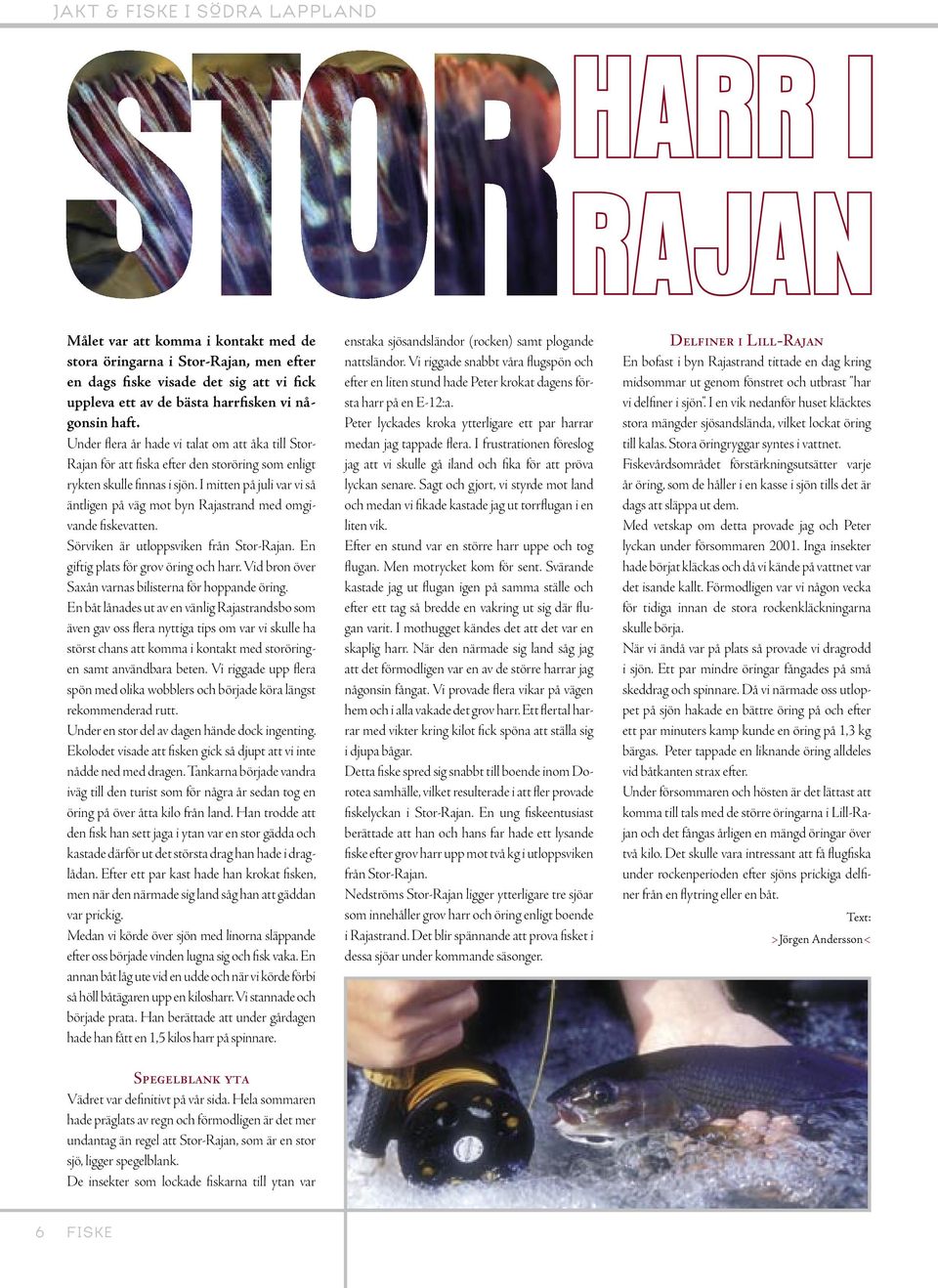 I mitten på juli var vi så äntligen på väg mot byn Rajastrand med omgivande fiskevatten. Sörviken är utloppsviken från Stor-Rajan. En giftig plats för grov öring och harr.