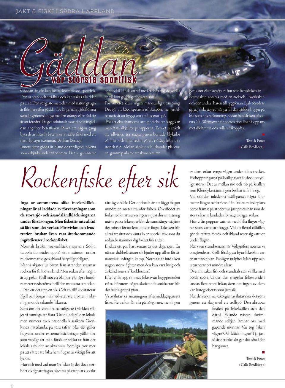 De ger minimalt motstånd när gäddan angriper betesfisken. Prova att någon gång byta de artificiella betena och istället fiska med ett naturligt agn i sommar. Det kan löna sig!