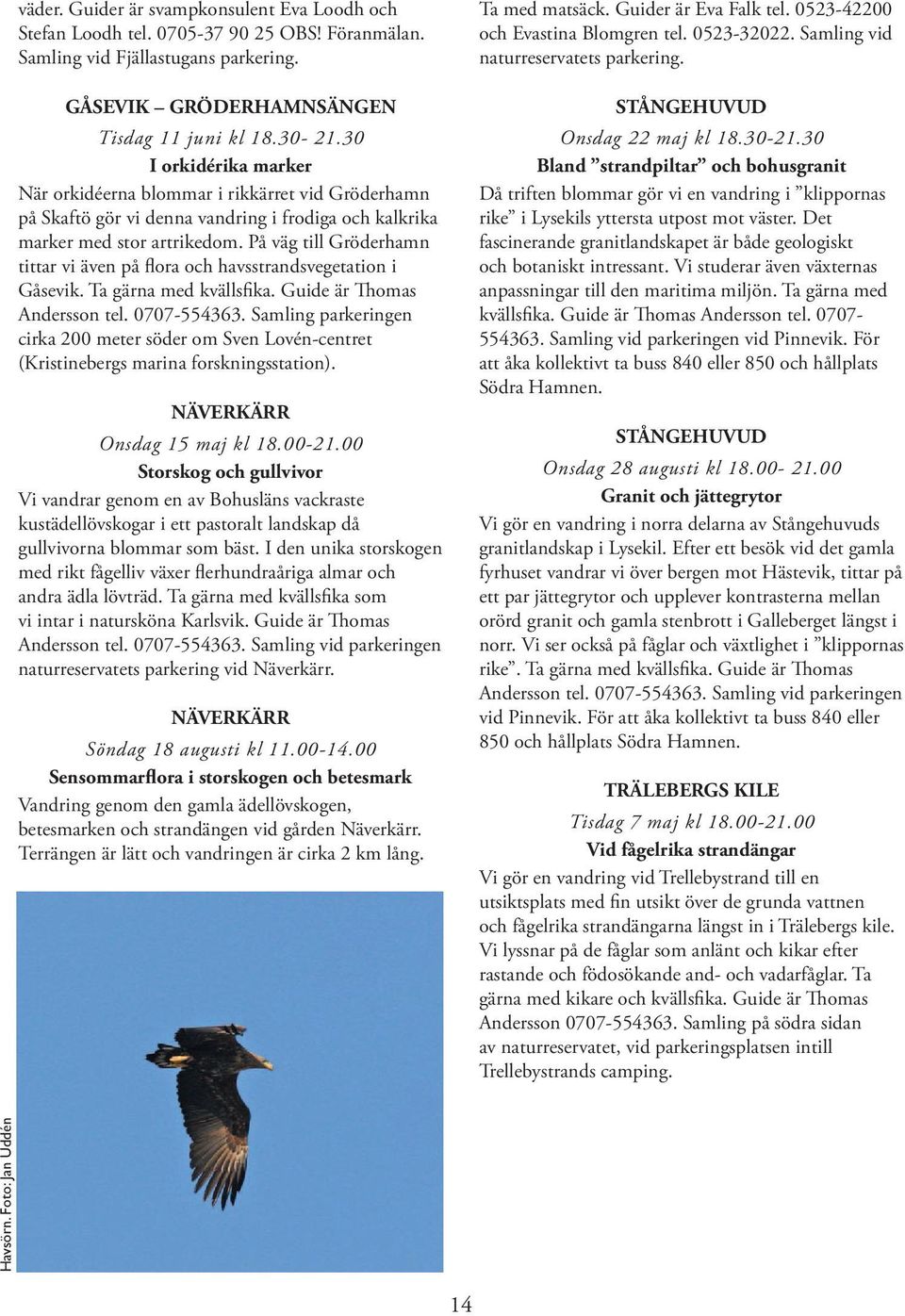 På väg till Gröderhamn tittar vi även på flora och havsstrandsvegetation i Gåsevik. Ta gärna med kvällsfika. Guide är Thomas Andersson tel. 0707-554363.